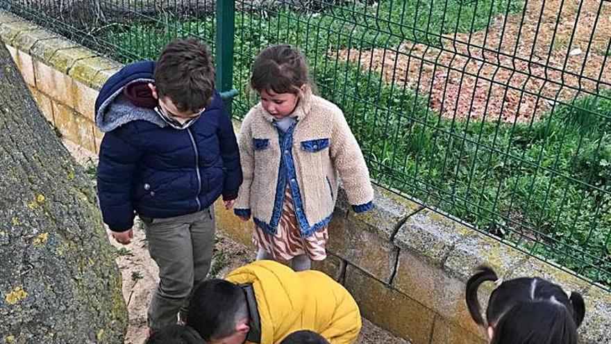 Un grupo de niños arremolinados junto a una piedra. | Cedida