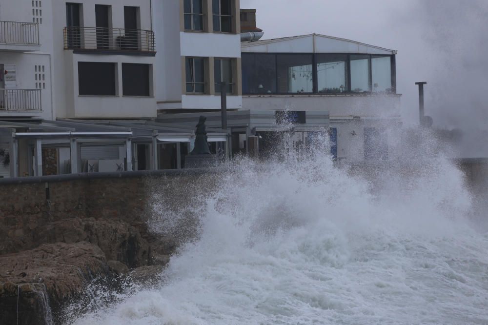 Temporal de llevant a l'Escala