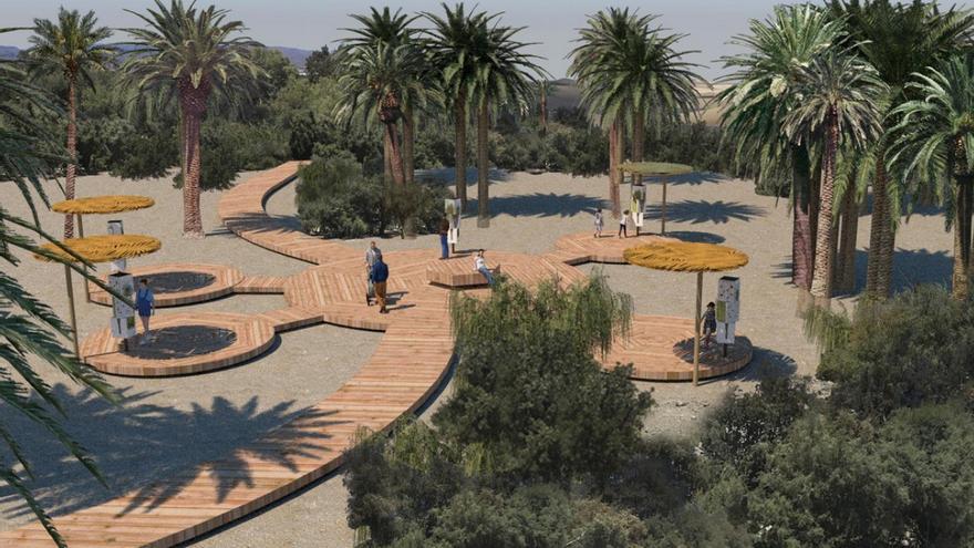 Acondicionamiento paisajístico del Oasis Palmeral de Maspalomas