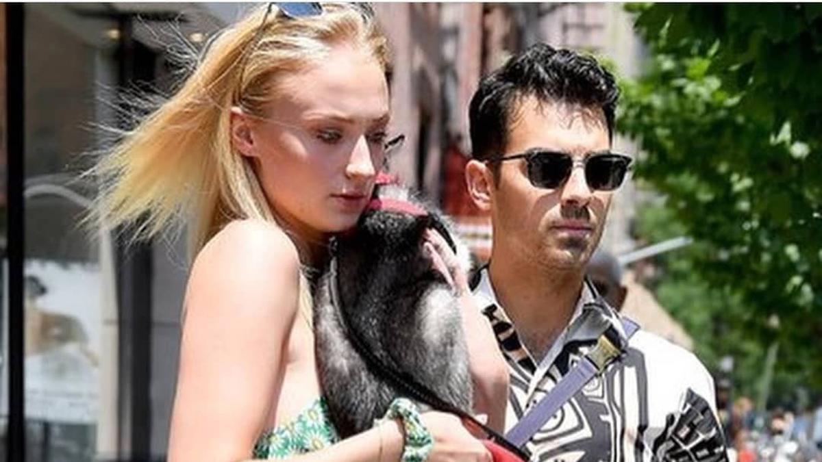Sophie Turner y Joe Jonas con su perrito Porky por Nueva York