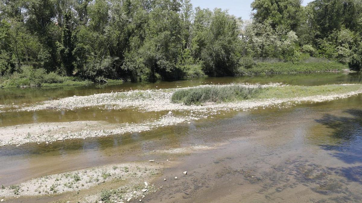 El riu Ter a l’alçada del parc de la Devesa i Fontajau. | ANIOL RESCLOSA