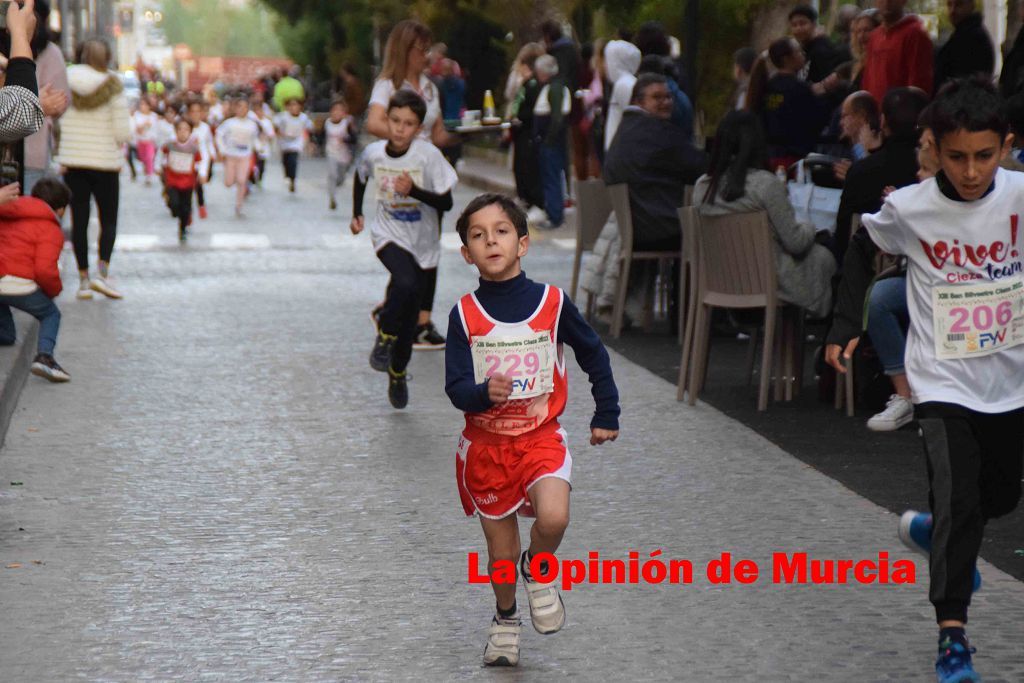 San Silvestre de Cieza (Parte I)