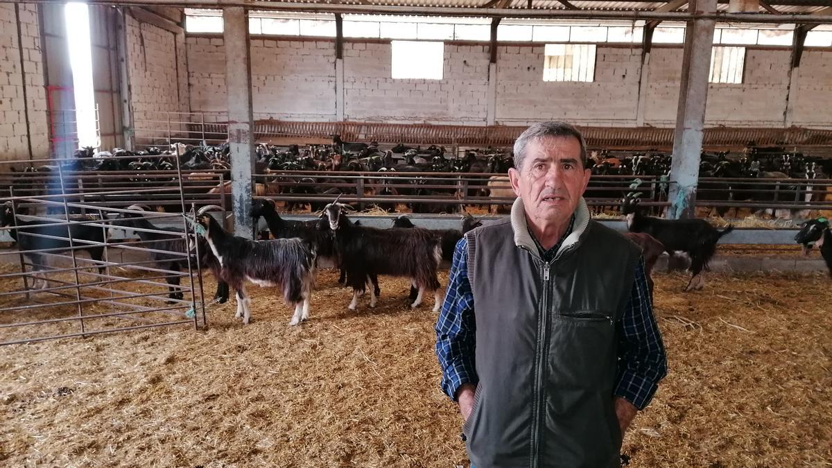 Santiago León con el rebaño de cabras metido en la nave