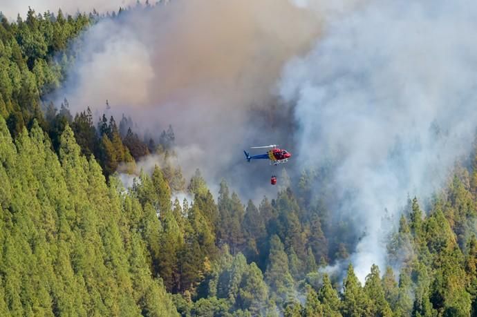 10-08-2019 ARTENARA. Incendio en la cumbre de Gran Canaria  | 10/08/2019 | Fotógrafo: Andrés Cruz