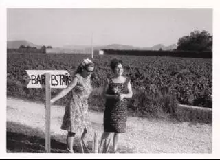 El mar y un "mar" de viñas: el paisaje gastronómico del restaurante Estanyó de Dénia