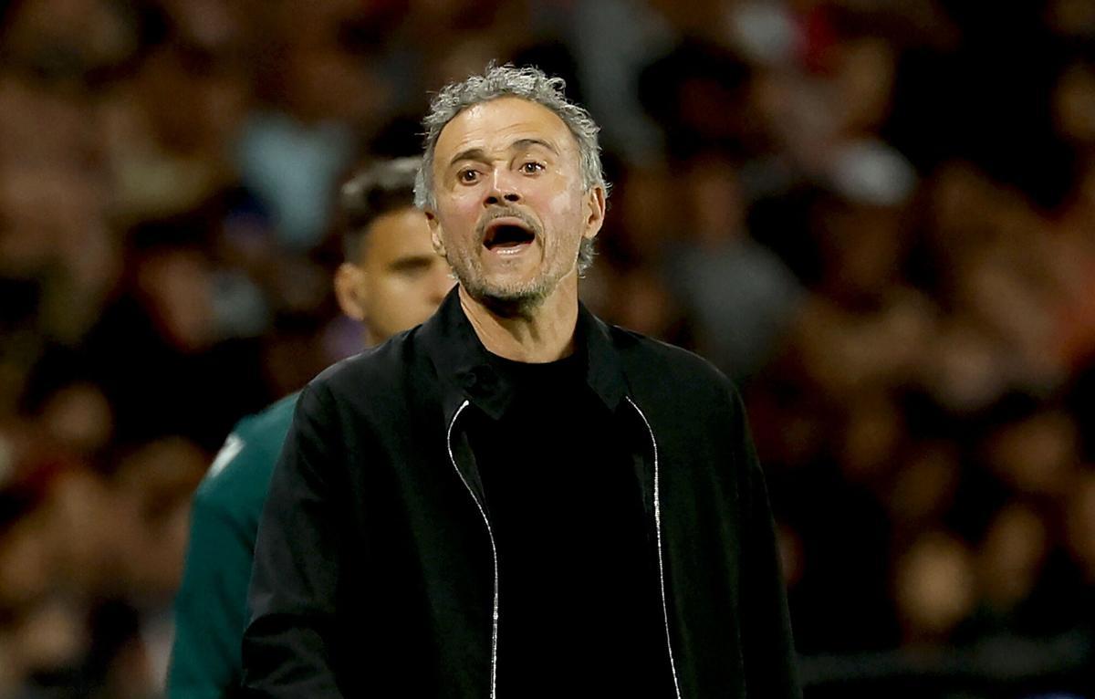 Luis Enrique, durante el PSG-Bayern