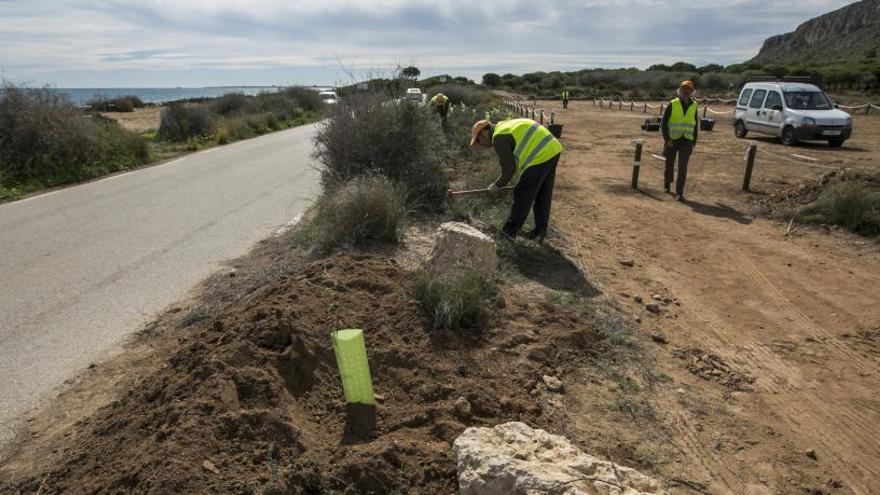 El Ayuntamiento cierra los accesos ilegales en el Cabo de Santa Pola