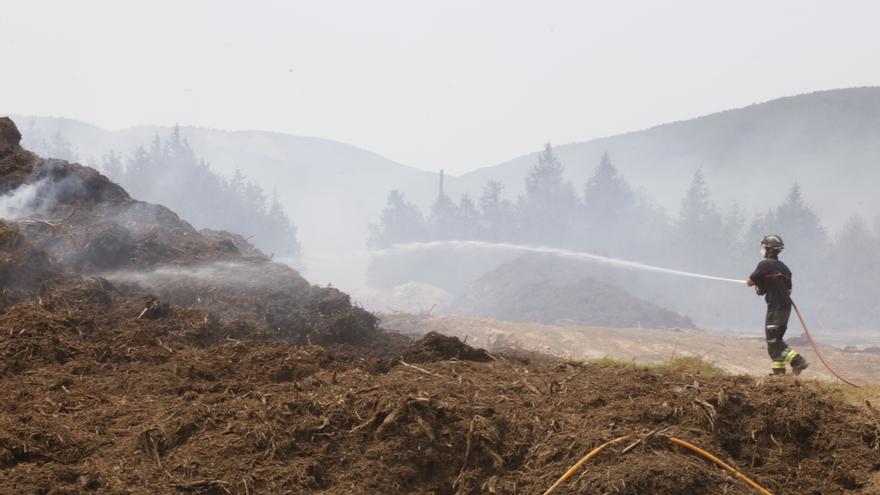 «La intervención en la planta de biomasa servirá de referencia técnica para el futuro»