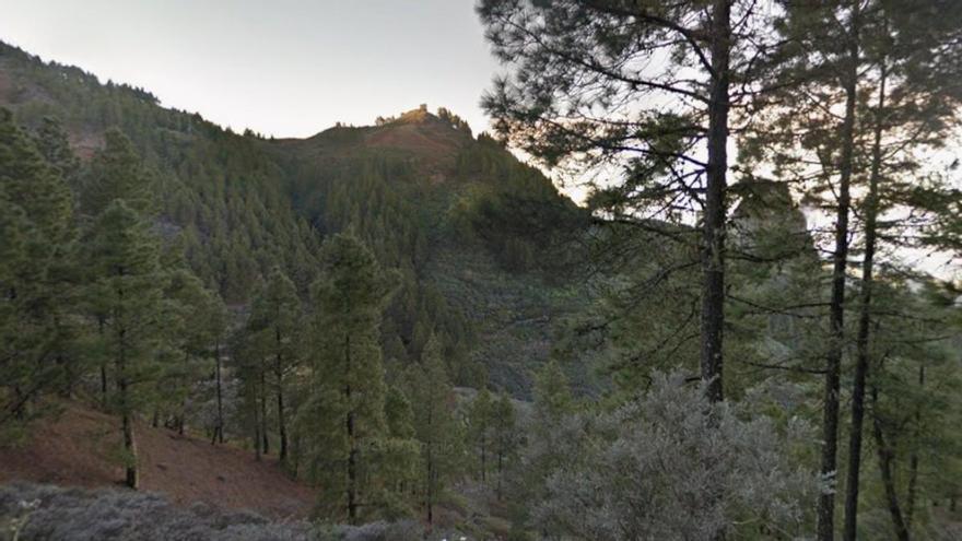 ¿Por qué se llama así Los Guaniles? La palabra casi olvidada que aún se conserva en la cumbre de Gran Canaria