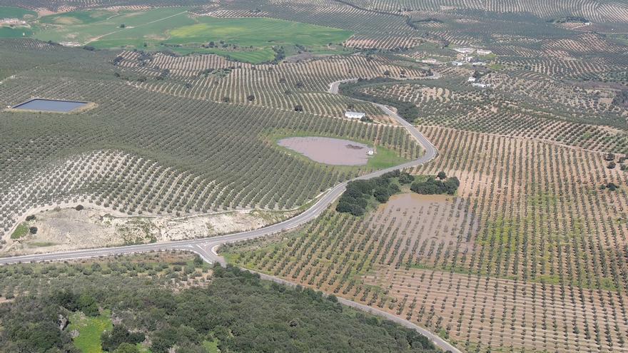 Ecologistas en Acción reivindica la recuperación y protección de los humedales cordobeses