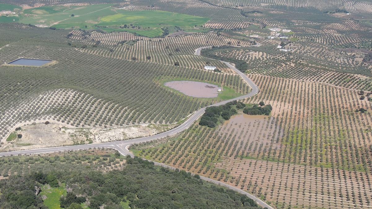 Laguna dulce de Espartosa, en el término municipal de Lucena.