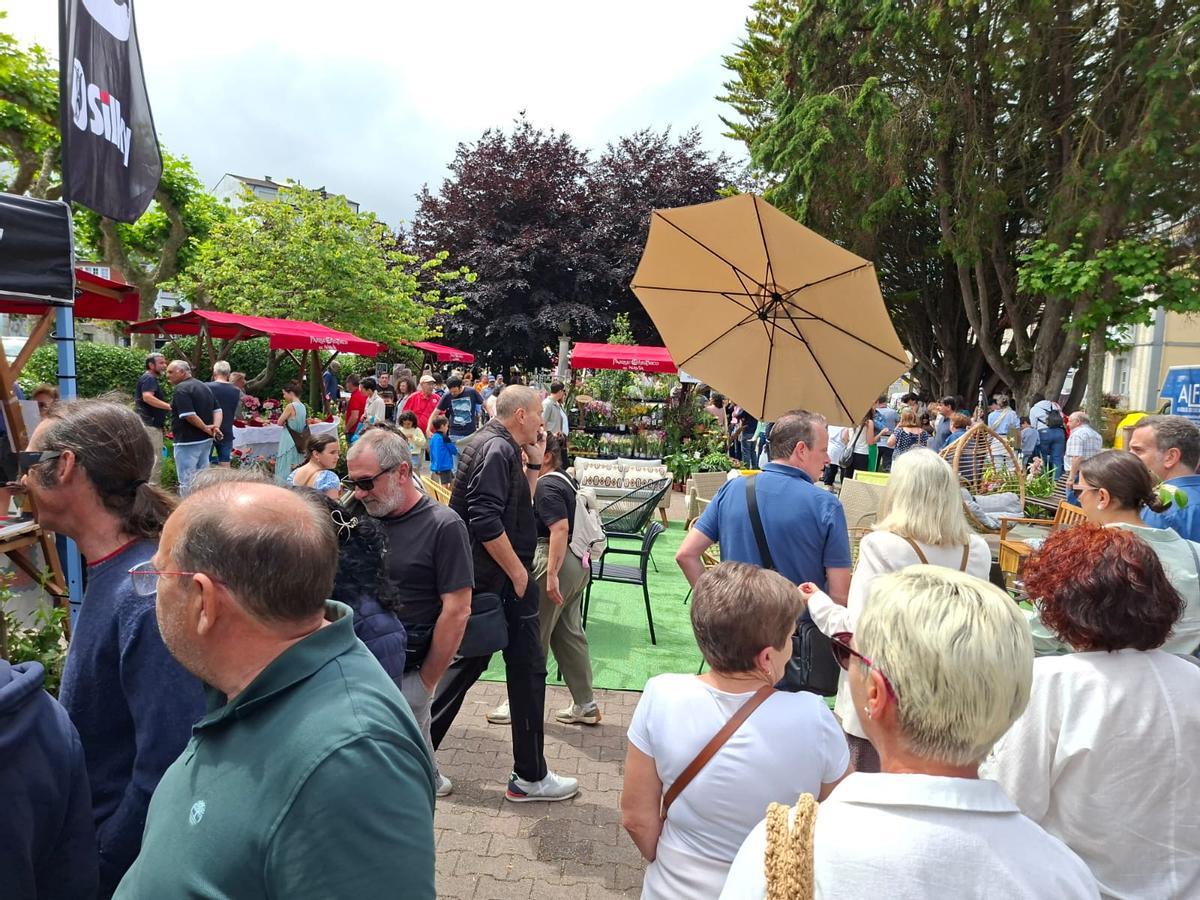 En imágenes: La primera feria de jardinería del Occidente llena La Caridad de color y buen ambiente