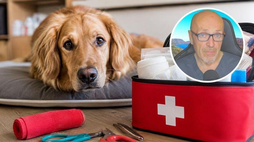 Manel Manzano, veterinario: “Hay un medicamento que le podemos dar a nuestro perro para casi cualquier tipo de dolor”