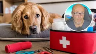 El veterinario Manuel Manzano lo deja claro: esto es lo que nunca debería faltar en tu botiquín si tienes perro