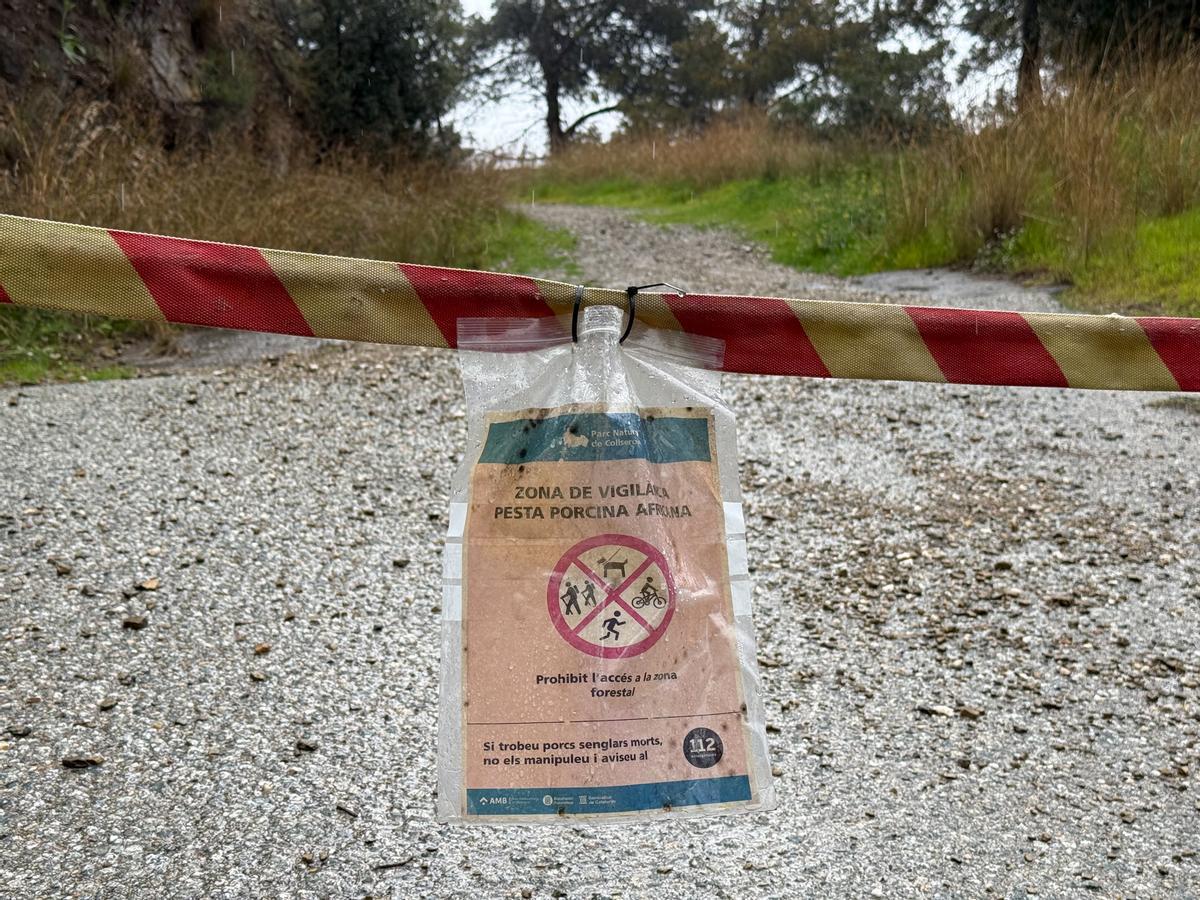 La lluvia se alía con Mossos y Guardia Urbana en el primer fin de semana de cierre de Collserola en Barcelona.