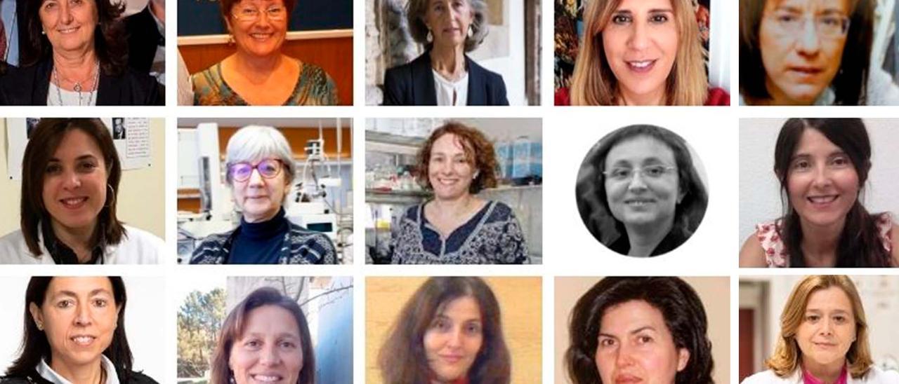 Algunas de las investigadoras gallegas que se encuentran en el &quot;top&quot; científico