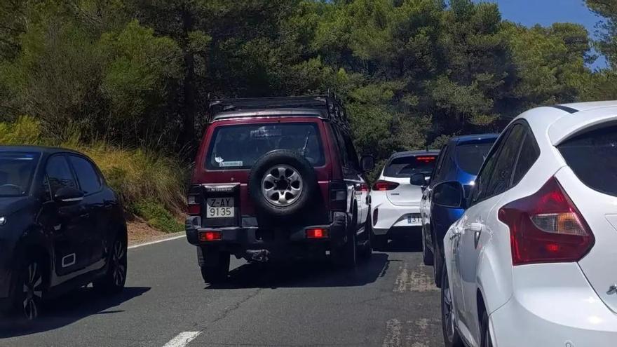 Sonnenfinsternis-Chaos in der Tramuntana: Menschen laufen kilometerweit, Mietwagen ignorieren Sperren