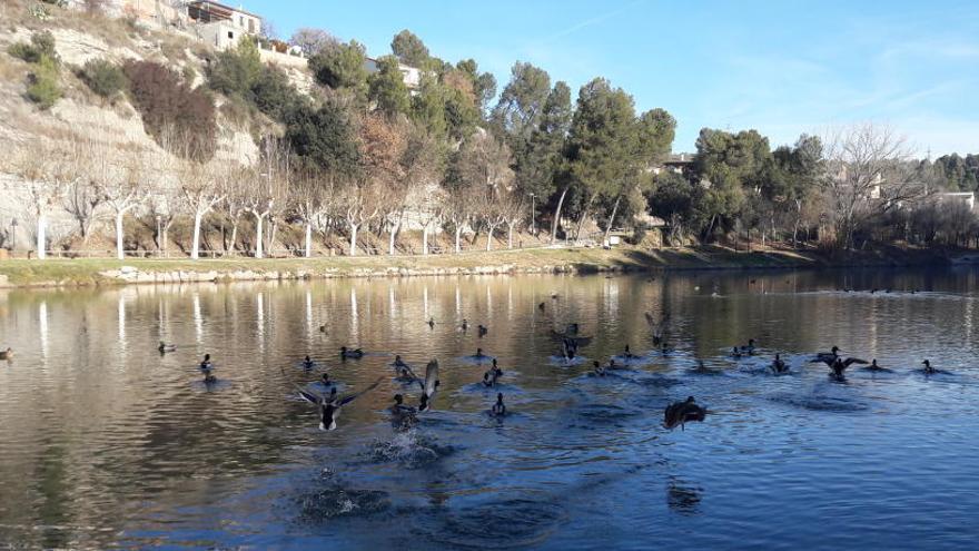 Una vista del llac de Navarcles.