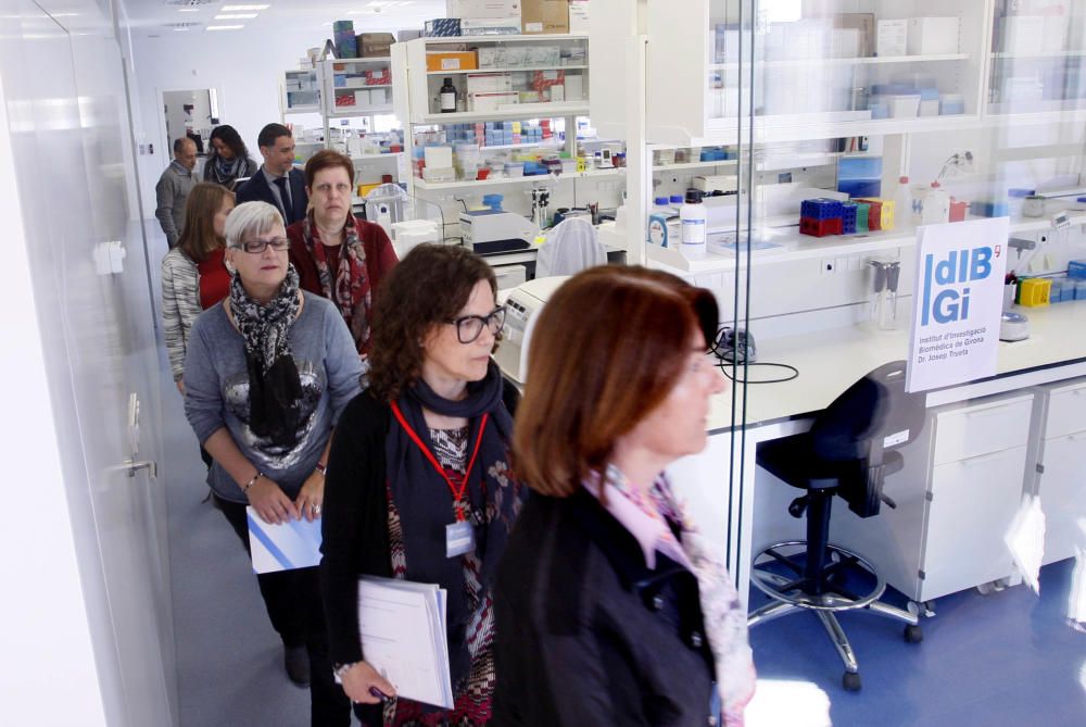 Institut d'Investigació Biomèdica de Girona