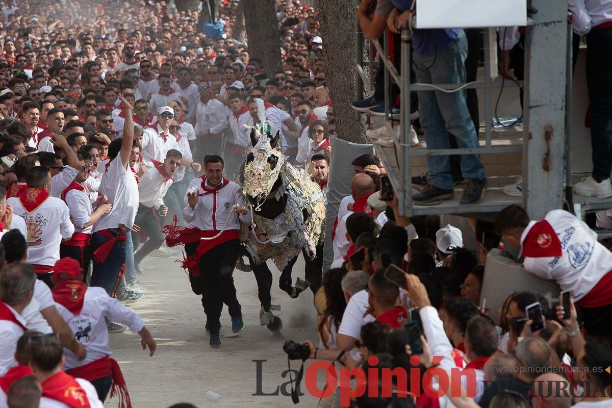 Así ha sido la carrera de los Caballos del Vino en Caravaca