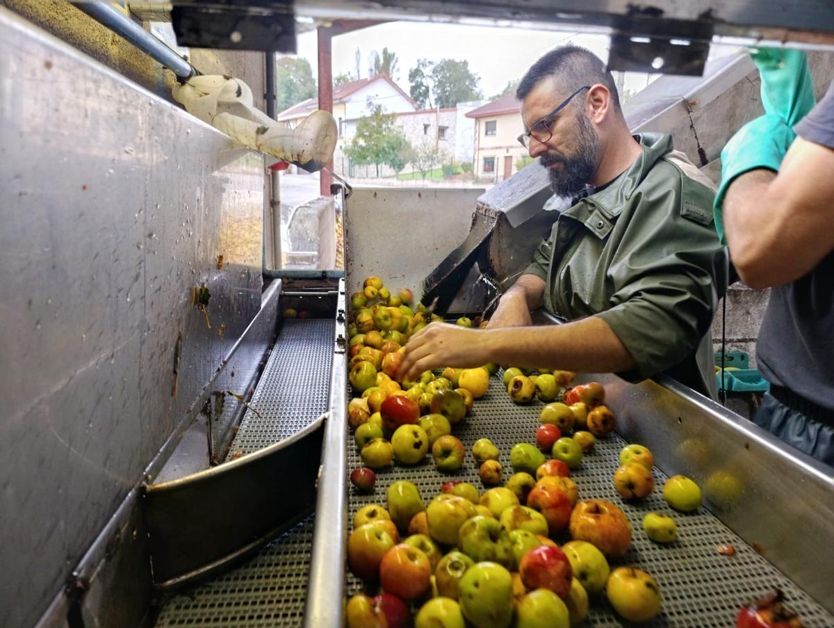 José Luis Méndez, en Sidra Muñiz