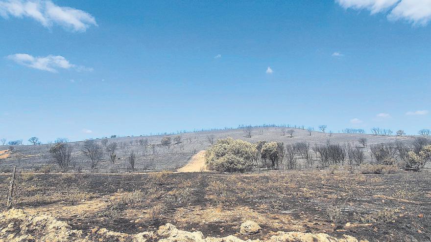 La reconstrucción tras el fuego sigue en estos cinco pueblos