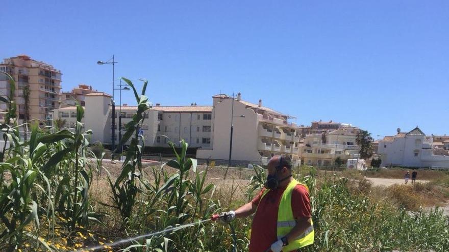 Trabajos que se están llevando a cabo en Torrox.