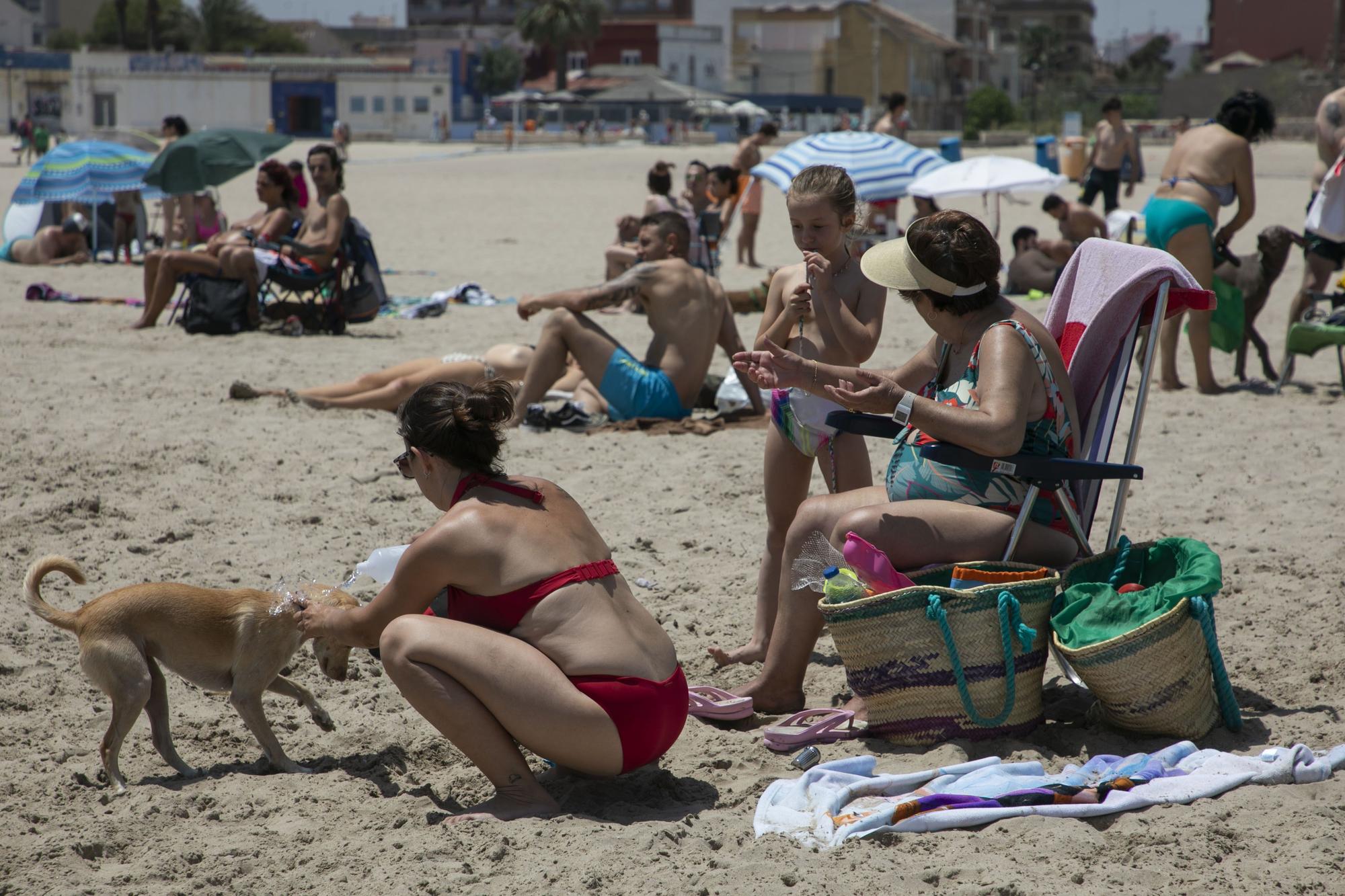 Playa canina de Pinedo