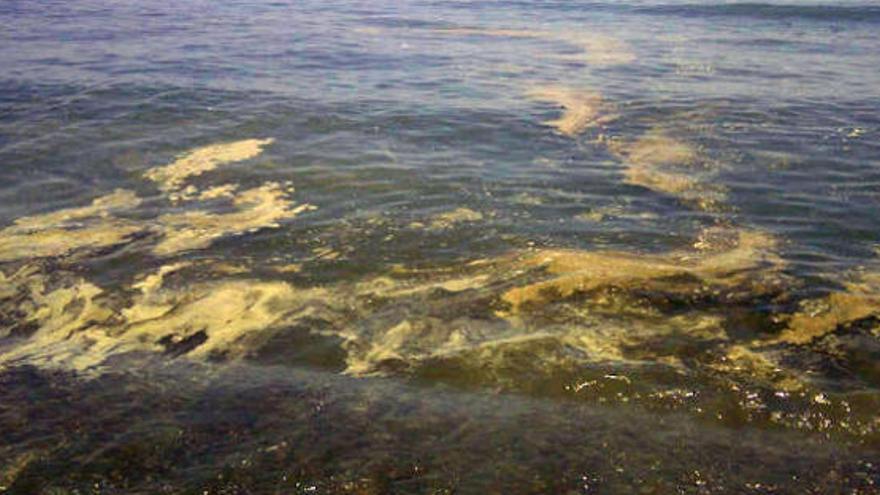 Marea marrón en la playa de la Misericordia