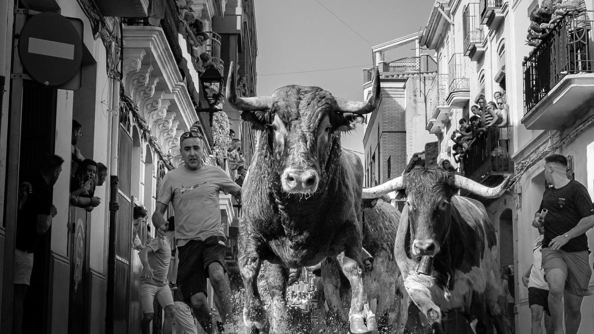 Imagen ganadora del XXXI Concurso de Fotografía Taurina Fiestas de Santa Quitèria.