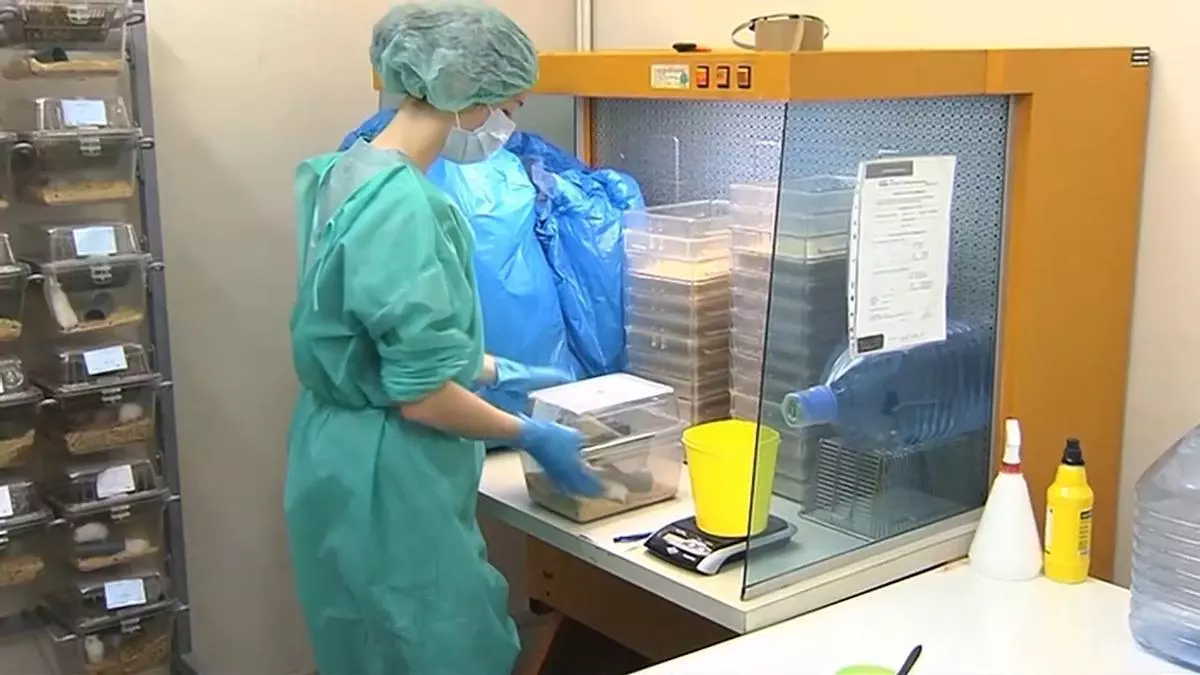 Un pasajero con hantavirus ingresa en Zúrich mientras Sanidad ordena que Canarias sea el destino de los cuidados del Hondius