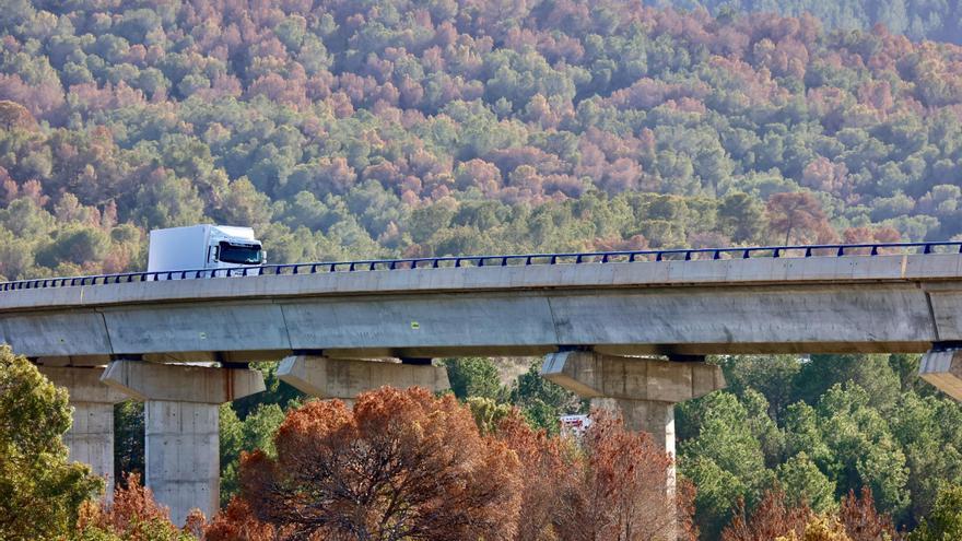 La Región necesita invertir 50 millones al año para paliar en los bosques los efectos de la sequía