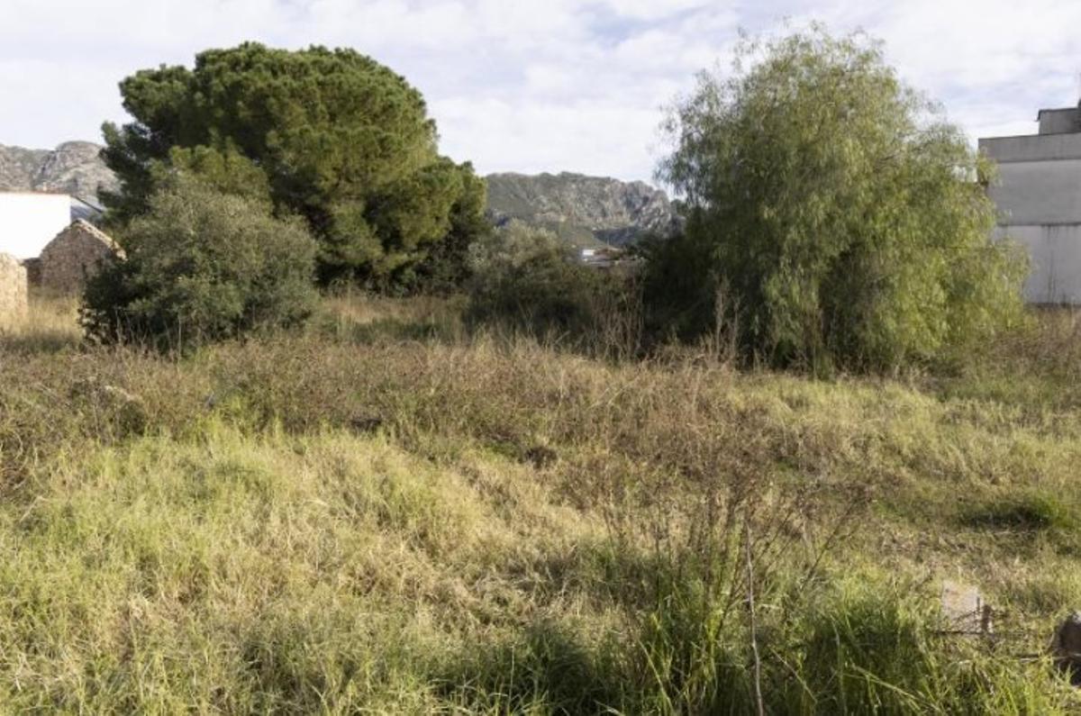Terrenos de cultivo abandonados en la Barraca d'Aigües Vives
