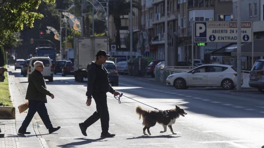 Un hombre pasea a su perro por las calles de la ciudad.  Iván Urquízar