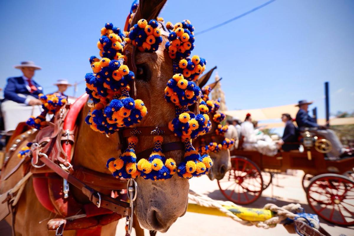 El paseo de los Carruajes de Tradición por la Feria de Córdoba, en imágenes El paseo de los Carruajes de Tradición por la Feria de Córdoba, en imágenes