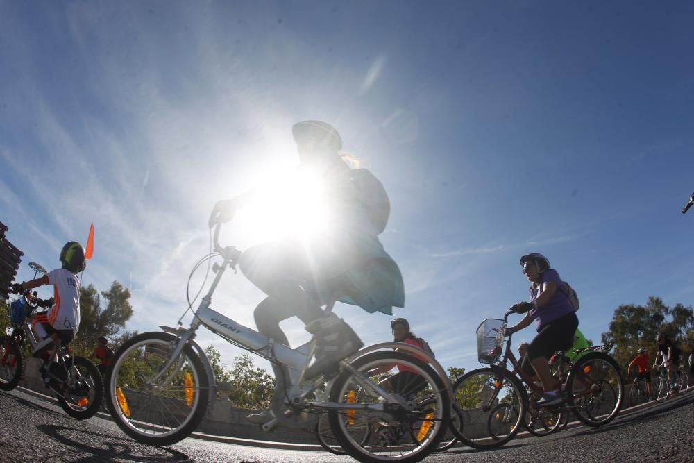 XX Día de la Bicicleta en Valencia