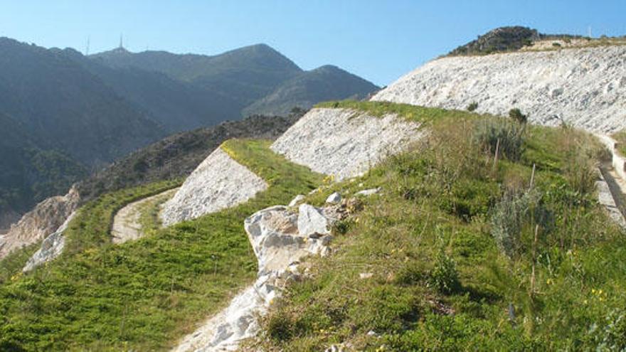 Imagen de la reforestación de la cantera de Taralpe en 2011.