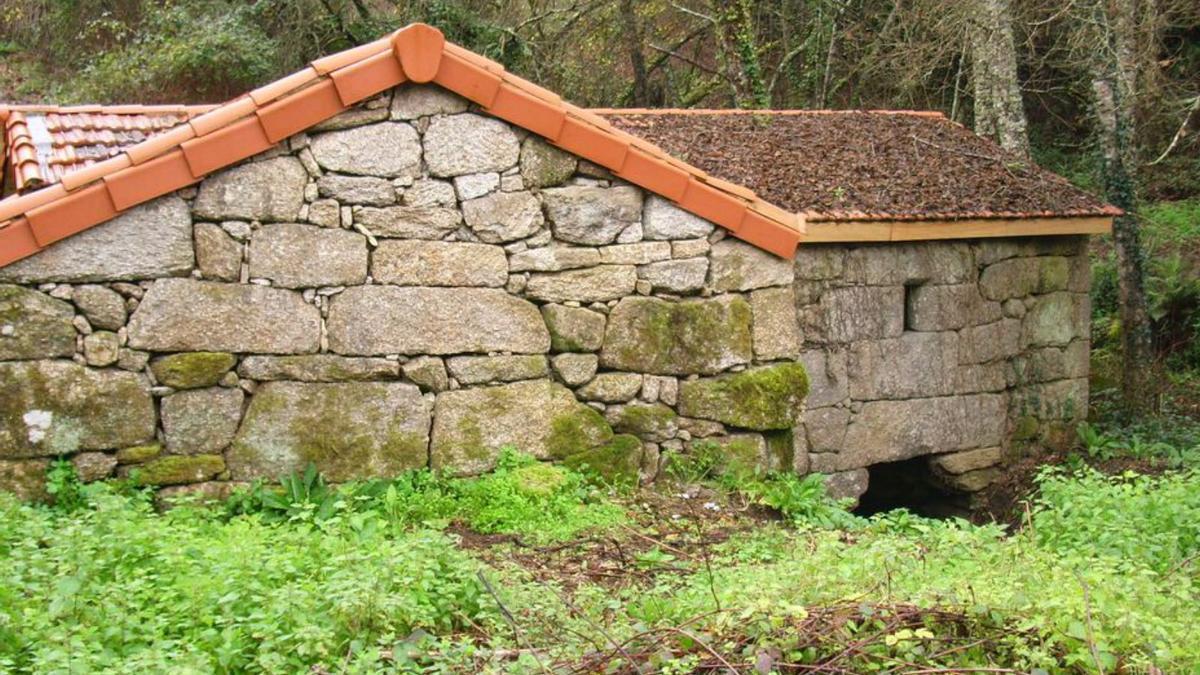 Centeno y maíz para las aves que llegan al Ribeiro 