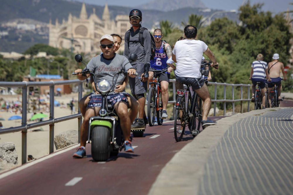 Los vehículos eléctricos personales, cada vez más habituales en Palma