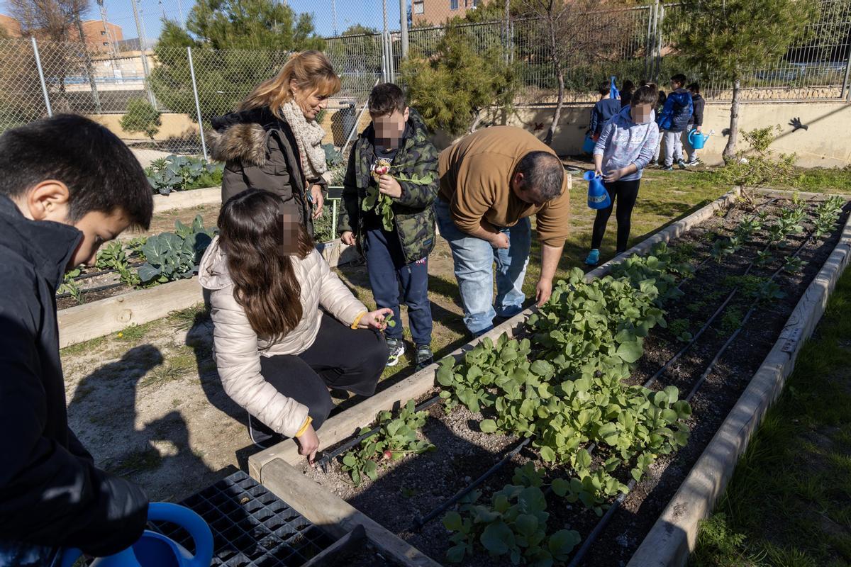 El huerto escolar favorece la pertenencia al espacio