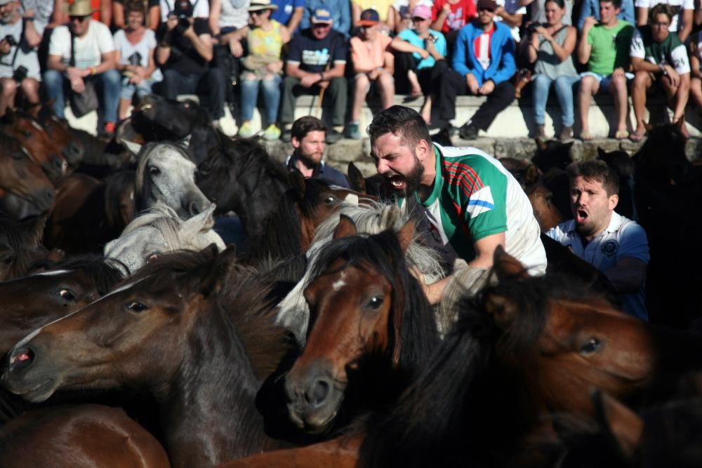 Más de quince "aloitadores" raparon a cerca de 200 caballos en el primer curro de Sabucedo