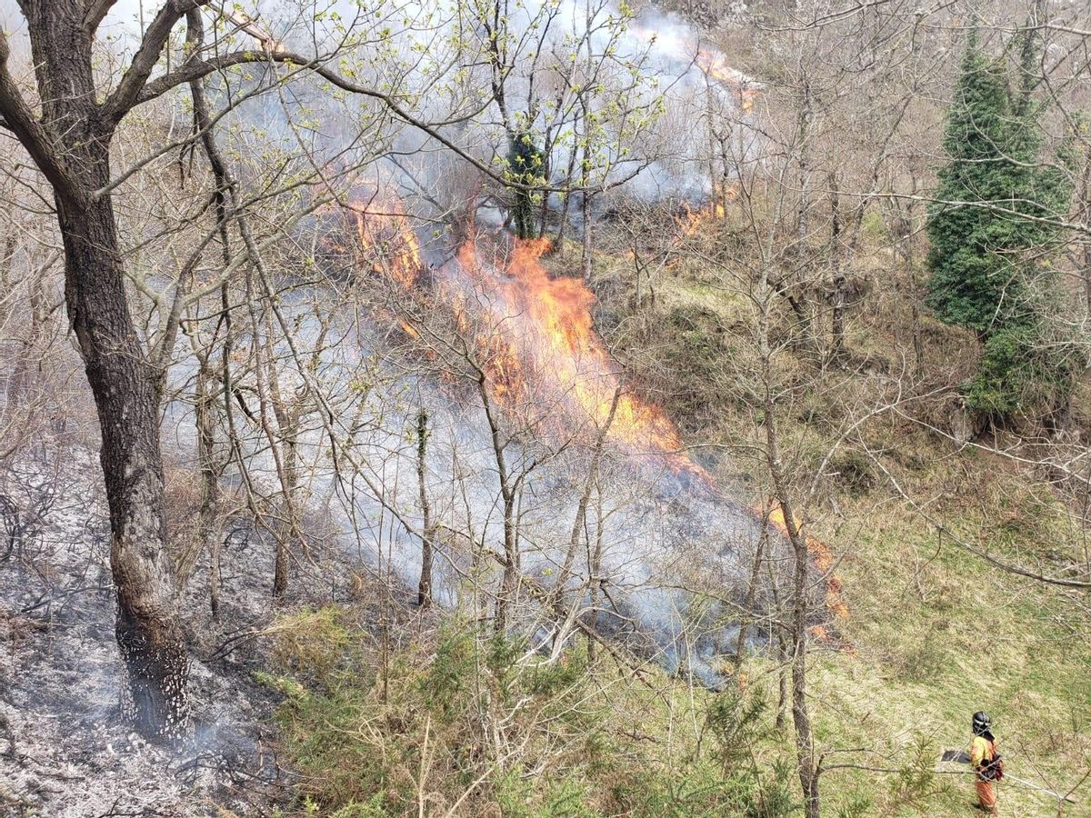 Incendio forestal.