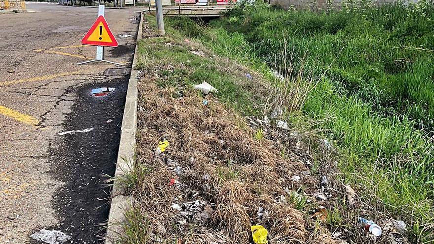 Multitud de basura y estado de una acera de la ciudad de Benavente.