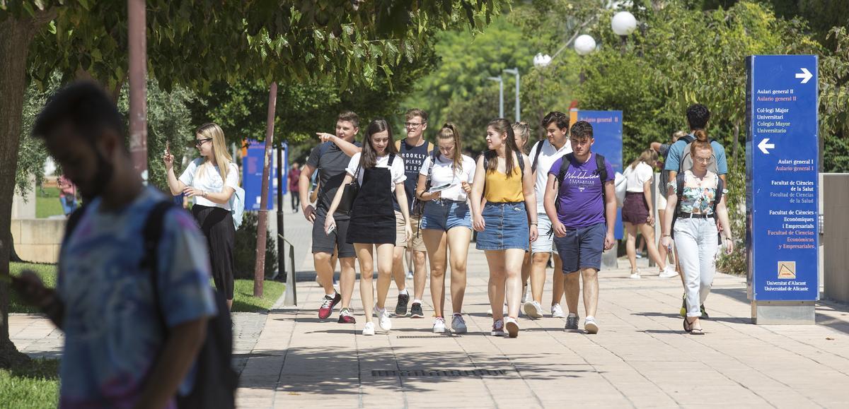 Arranca el plazo para pedir beca en las universidades