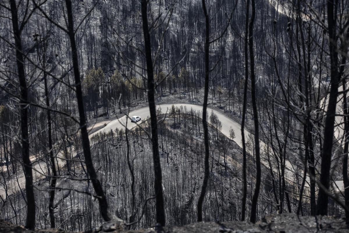 Urbanización River Park del Pont de Vilomara muy afectada por el incendio forestal que empezó el pasado domingo en el Pont de Vilomara (Bages.).