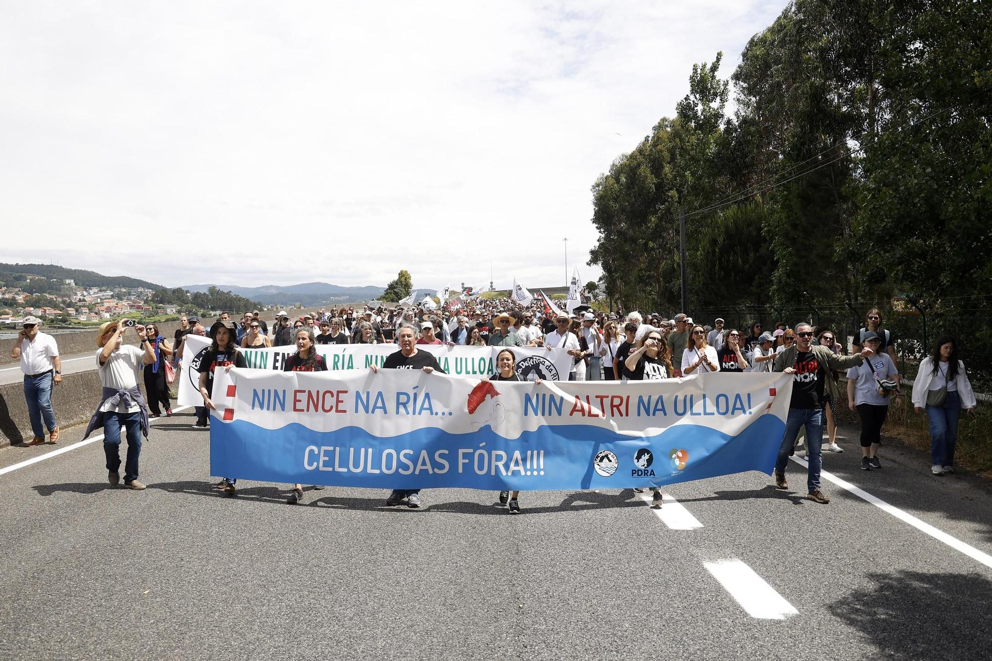 Miles de gallegos marchan de Pontevedra hasta Lourizán en protesta por las celulosas de Ence y Altri