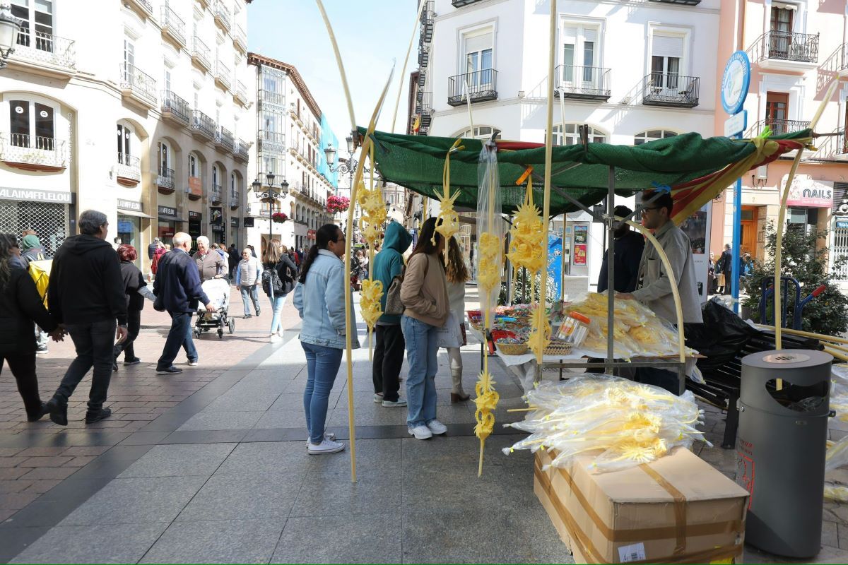 Procesión del Domingo de Ramos en Zaragoza