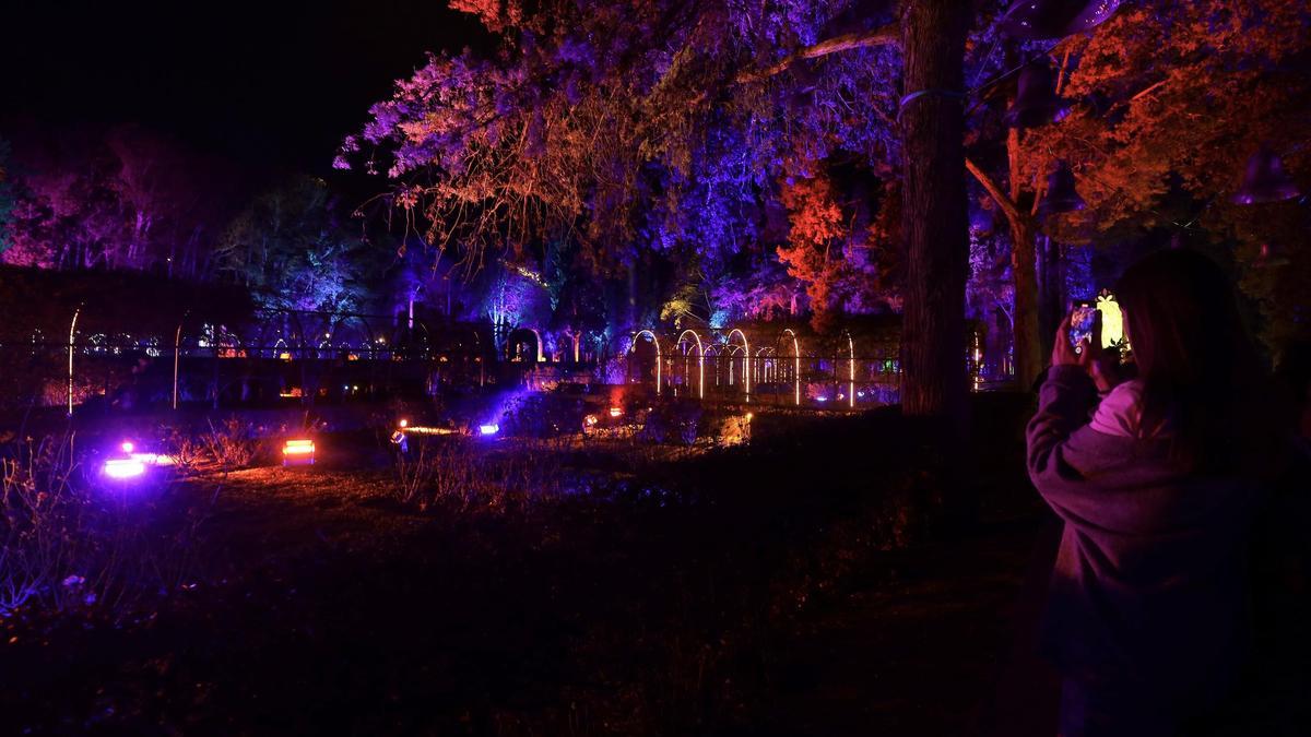 Espectáculo luminoso Luzir en el parque Grande de Zaragoza
