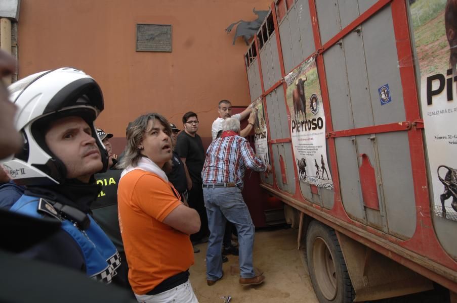 El desembarque de "Pitarroso" en Benavente