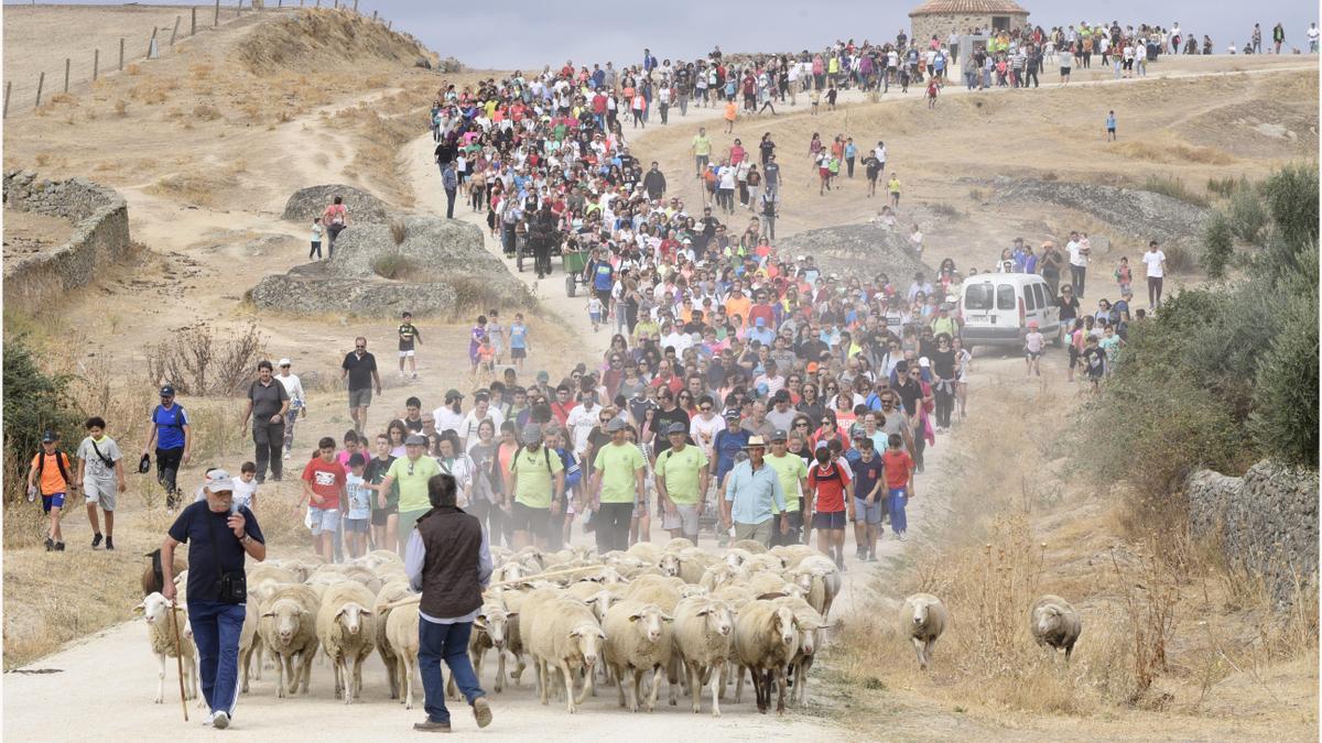 Casar de Cáceres ven y disfruta de todos los privilegios El